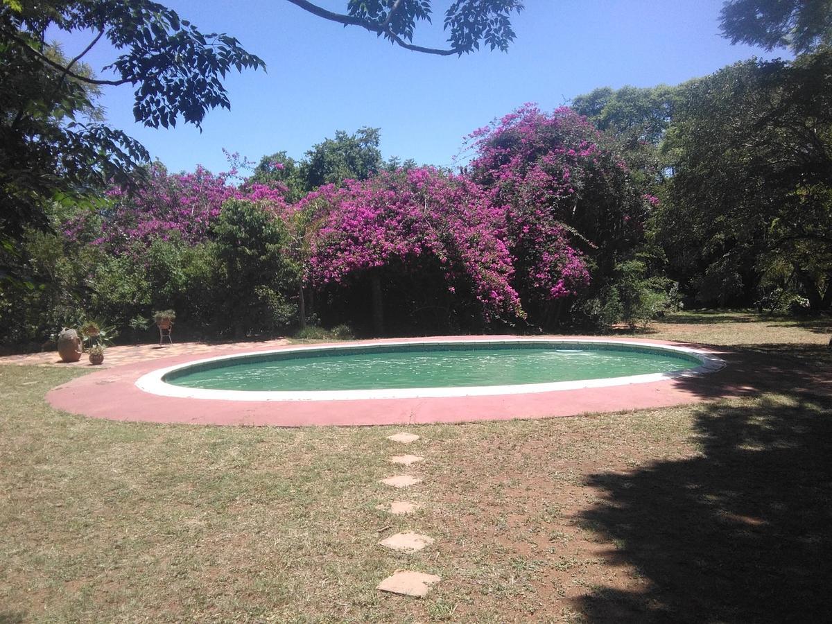 Limerick Cottages Bulawayo Exteriér fotografie